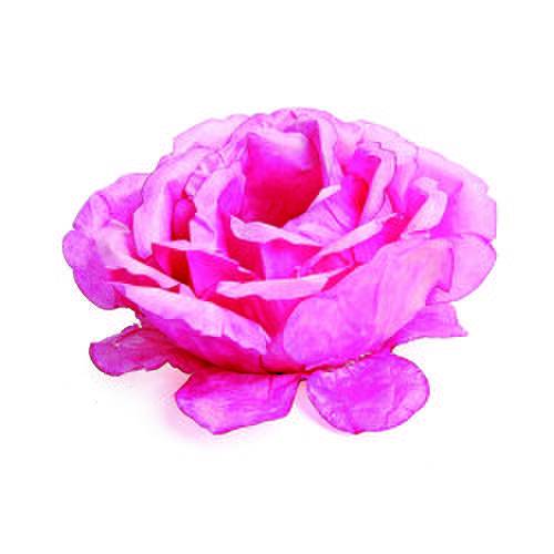 Tamanhos, Medidas e Dimensões do produto 20 Forminhas Doce Begônia Pink Decoração Festas
