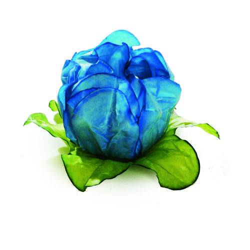 Tamanhos, Medidas e Dimensões do produto 24 Forminhas Doce Camélia Azul Turquesa Dec. Festas