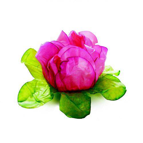 Tamanhos, Medidas e Dimensões do produto 24 Forminhas Doce Camélia Rosa Decoração Festas