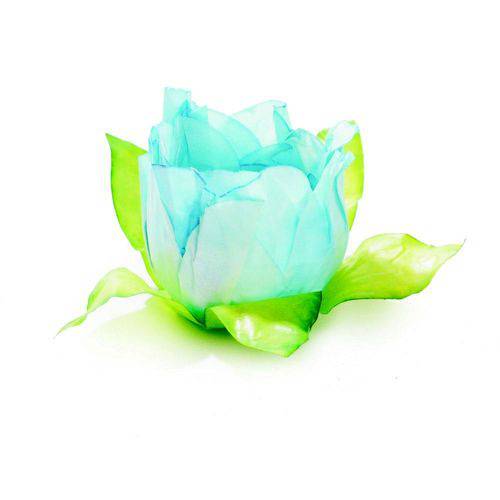Tamanhos, Medidas e Dimensões do produto 24 Forminhas Doce Tulipa Azul Claro Dec. Festas