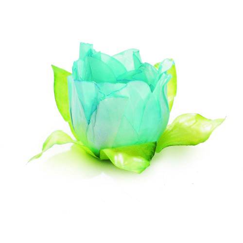 Tamanhos, Medidas e Dimensões do produto 24 Forminhas Doce Tulipa Azul Tiffany Dec. Festas