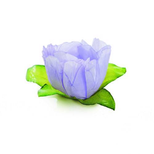 Tamanhos, Medidas e Dimensões do produto 24 Forminhas Doce Tulipa Lilás Decoração Festas