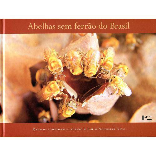 Tamanhos, Medidas e Dimensões do produto Abelhas Sem Ferrão do Brasil