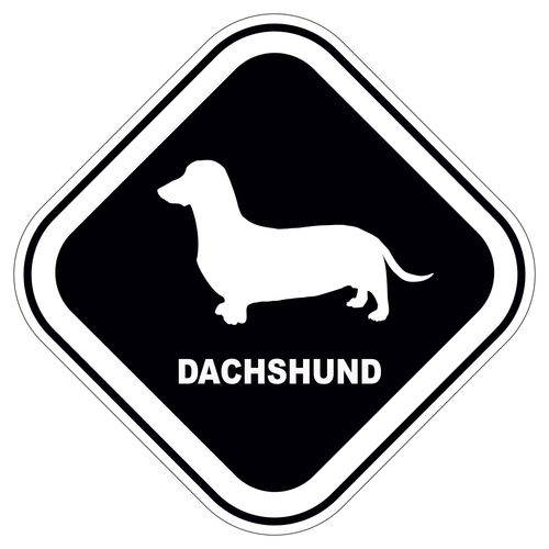 Tamanhos, Medidas e Dimensões do produto Adesivo Dachshund