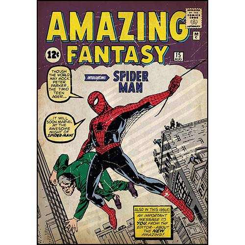 Tamanhos, Medidas e Dimensões do produto Adesivo de Parede Spider-Man Issue #1 Comic Cover Giant Wall Decal Roommates Colorido (46x12,8x2,8cm)