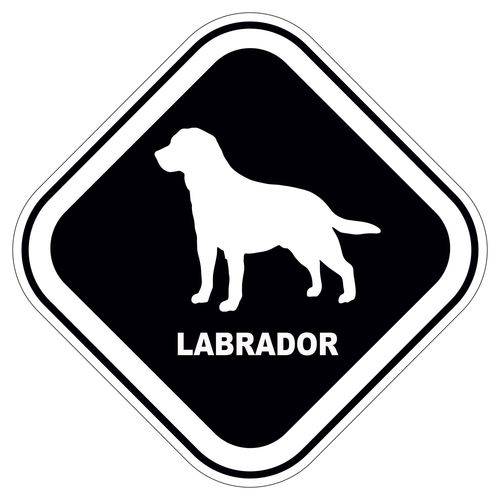 Tamanhos, Medidas e Dimensões do produto Adesivo Labrador