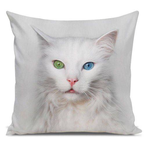 Tamanhos, Medidas e Dimensões do produto Almofada Gato Angorá Olhos Verde Azul 45x45cm
