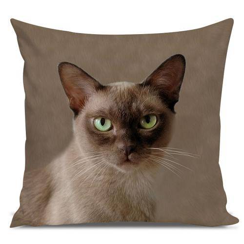 Tamanhos, Medidas e Dimensões do produto Almofada Gato Birmanês 45x45cm