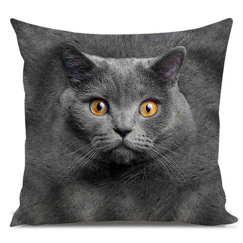 Tamanhos, Medidas e Dimensões do produto Almofada Gato Chartreux 45x45cm