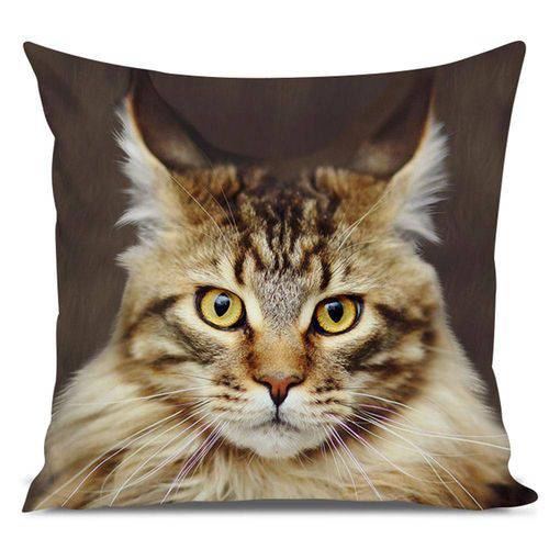 Tamanhos, Medidas e Dimensões do produto Almofada Gato Maine Coon 45x45cm