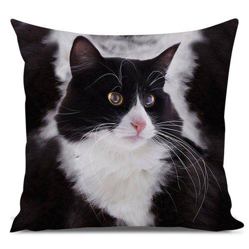 Tamanhos, Medidas e Dimensões do produto Almofada Gato Norueguês da Floresta Preto e Branco 45x45cm Preto Preto