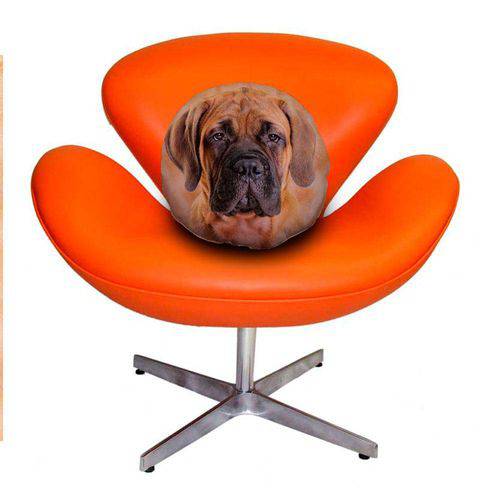 Tamanhos, Medidas e Dimensões do produto Almofada Redonda Cachorro Bullmastiff 45cm Marrom Marrom