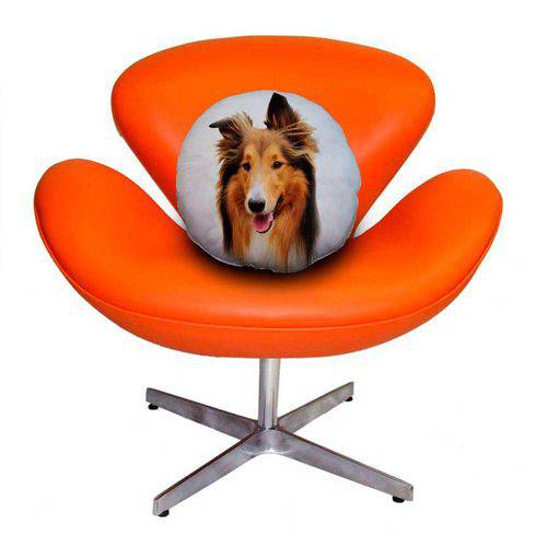 Tamanhos, Medidas e Dimensões do produto Almofada Redonda Cachorro Collie 45cm Marrom Marrom