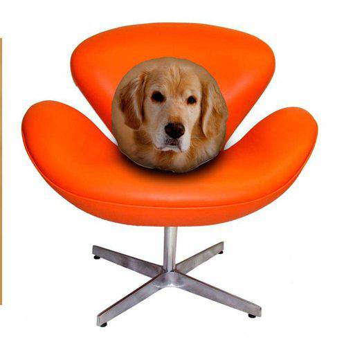 Tamanhos, Medidas e Dimensões do produto Almofada Redonda Cachorro Golden Retriever 45cm Marrom Marrom