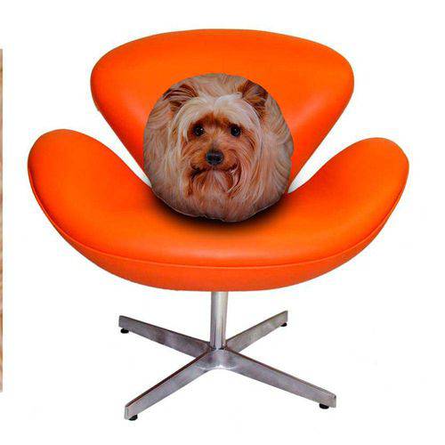 Tamanhos, Medidas e Dimensões do produto Almofada Redonda Cachorro Yorkshire Terrier 45cm Marrom Marrom