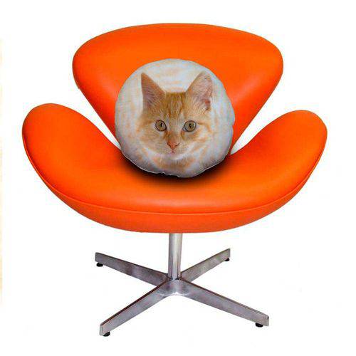 Tamanhos, Medidas e Dimensões do produto Almofada Redonda Gato American Shorthair Amarelo 45cm Bege Bege