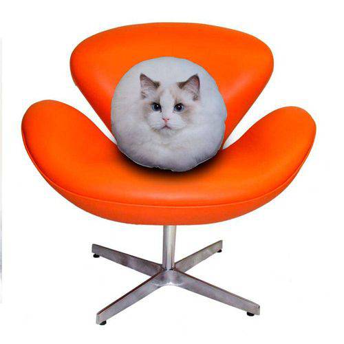 Tamanhos, Medidas e Dimensões do produto Almofada Redonda Gato Ragdoll 45cm Branco Branco