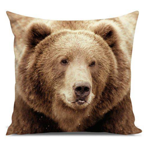 Tamanhos, Medidas e Dimensões do produto Almofada Selvagem Urso Pardo 45x45cm Marrom Marrom