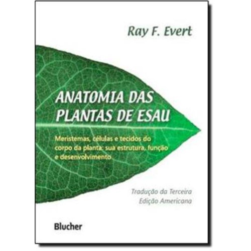 Tamanhos, Medidas e Dimensões do produto Anatomia das Plantas de Esau - Blucher