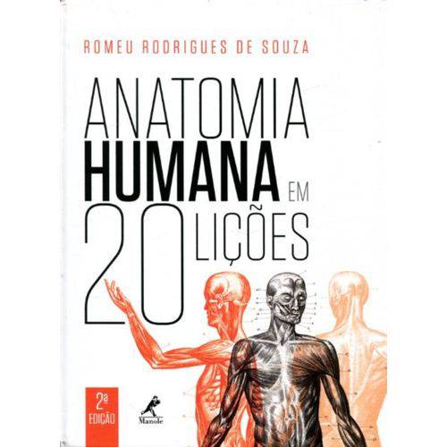 Tamanhos, Medidas e Dimensões do produto Anatomia Humana em 20 Lições - 2ª Edição 2017 - Souza