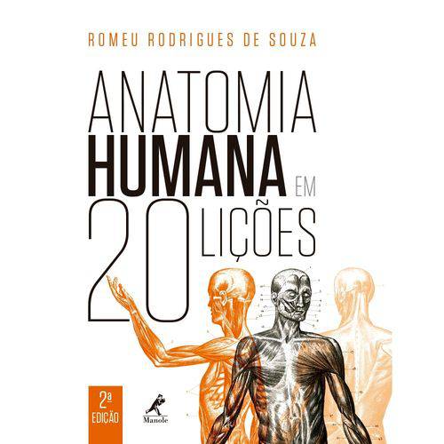 Tamanhos, Medidas e Dimensões do produto Anatomia Humana em 20 Lições