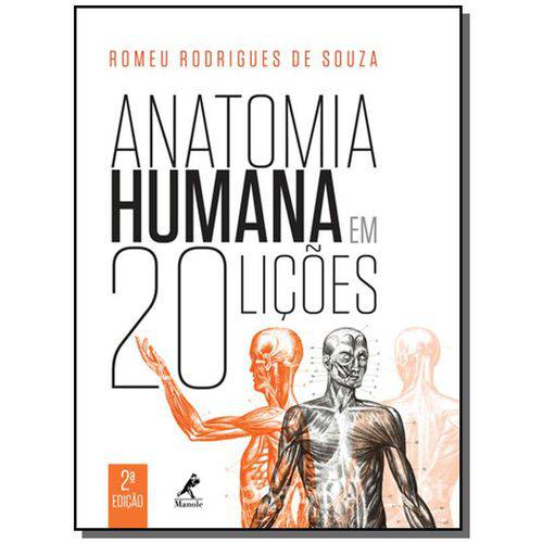 Tamanhos, Medidas e Dimensões do produto Anatomia Humana em 20 Licoes