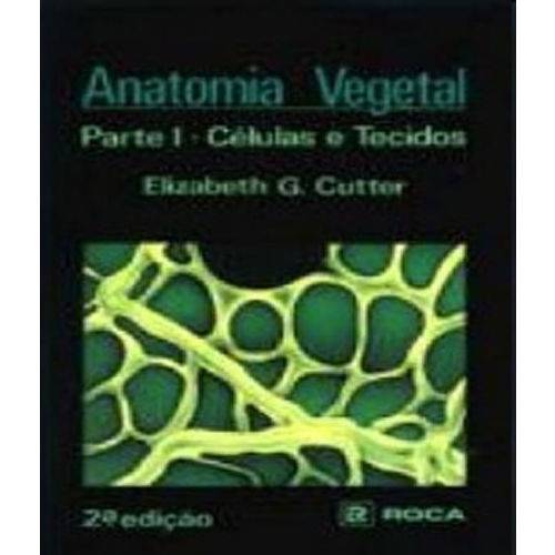 Tamanhos, Medidas e Dimensões do produto Anatomia Vegetal - Parte I - Celulas e Tecidos - 2 Ed