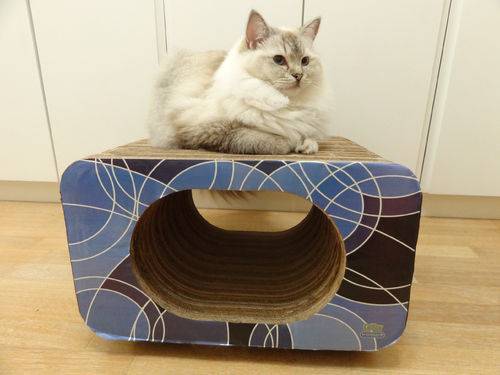 Tamanhos, Medidas e Dimensões do produto Arranhador e Brinquedo Interativo para Gatos Cat Box - Simples Oval - Geométrico Azul