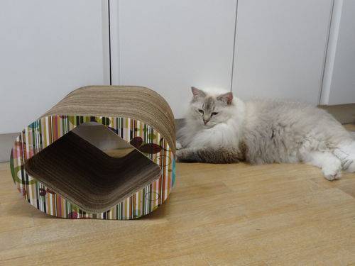 Tamanhos, Medidas e Dimensões do produto Arranhador e Brinquedo Interativo para Gatos Mini Cat Box - Borboletas
