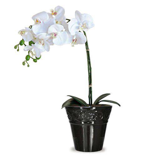 Tamanhos, Medidas e Dimensões do produto Arranjo de Flores Artificiais de Orquideas Brancas 45x20 Cm