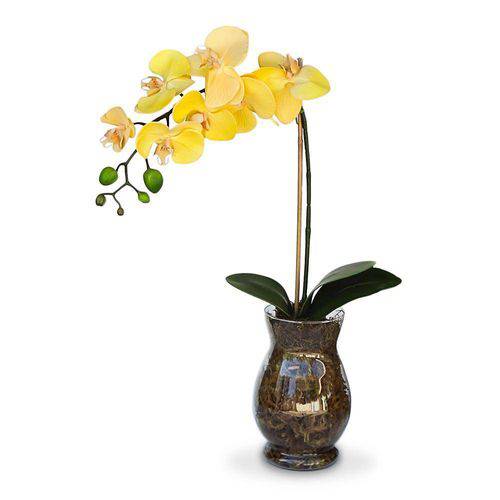 Tamanhos, Medidas e Dimensões do produto Arranjo de Flores Artificiais Orquidea Amarela 40 Cm