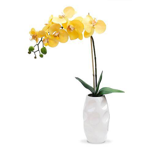 Tamanhos, Medidas e Dimensões do produto Arranjo de Flores Artificiais Orquideas 45x13