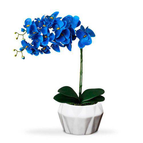 Tamanhos, Medidas e Dimensões do produto Arranjo de Flores Artificiais Orquideas Azuis no Vaso Branco Moderno 55x20 Cm