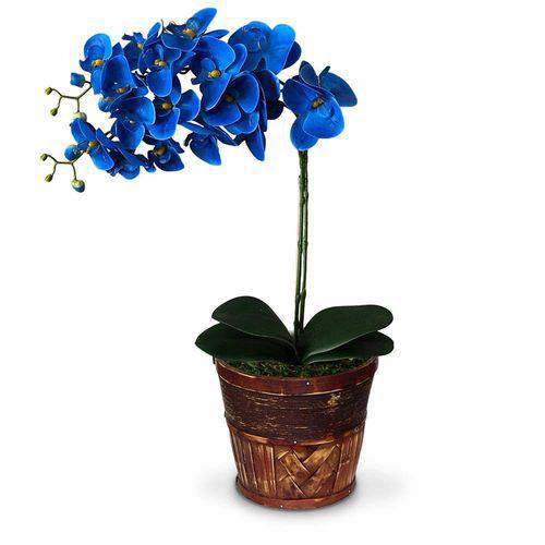 Tamanhos, Medidas e Dimensões do produto Arranjo de Flores Artificiais Orquideas Azul Cachepot de Madeira 55x20 Cm