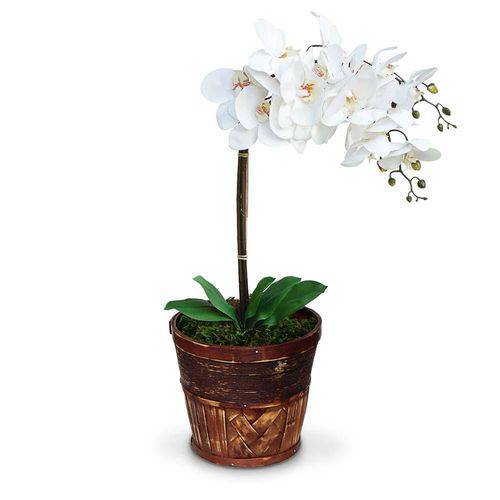 Tamanhos, Medidas e Dimensões do produto Arranjo de Flores Artificiais Orquideas Brancas Cachepot de Madeira 55x15 Cm