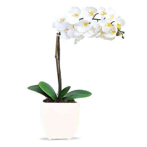 Tamanhos, Medidas e Dimensões do produto Arranjo de Flores Artificiais Orquideas Brancas Cachepot Quadrado Branco