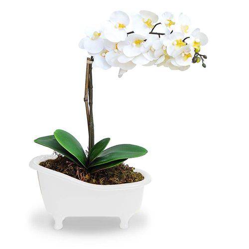 Tamanhos, Medidas e Dimensões do produto Arranjo de Flores Artificiais Orquideas no Cachepot Banheira Branca