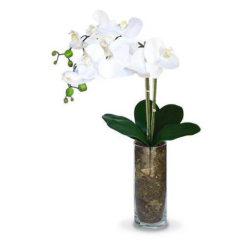 Tamanhos, Medidas e Dimensões do produto Arranjo de Flores Artificiais Orquideas no Vaso de Vidro 55cm