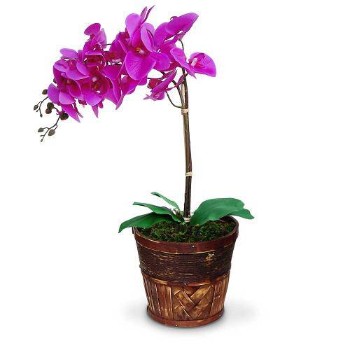 Tamanhos, Medidas e Dimensões do produto Arranjo de Flores Artificiais Orquideas Roxa Cachepot Madeira 55x20 Cm