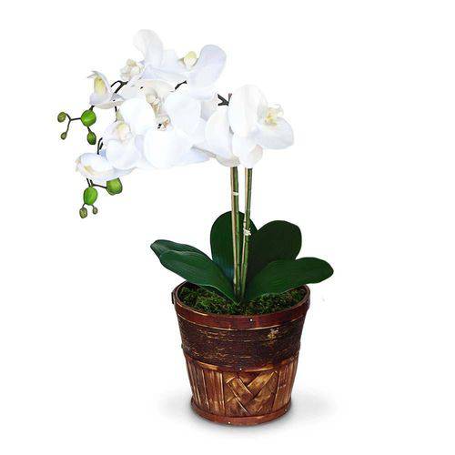 Tamanhos, Medidas e Dimensões do produto Arranjo Orquideas Brancas 50x20 Cm