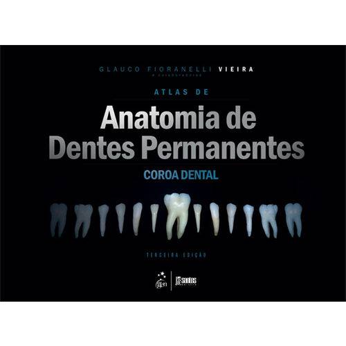 Tamanhos, Medidas e Dimensões do produto Atlas de Anatomia de Dentes Permanentes