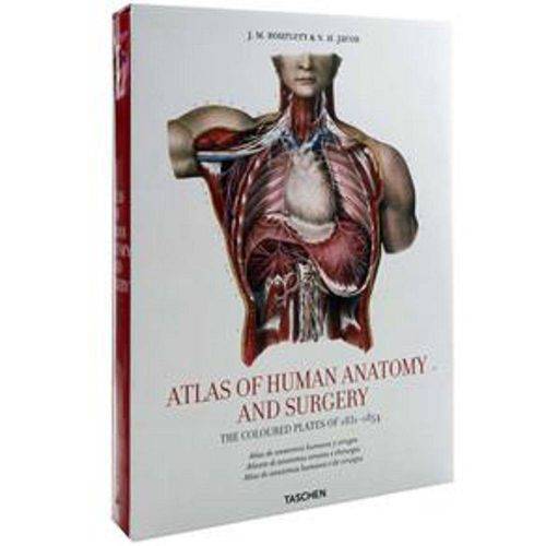 Tamanhos, Medidas e Dimensões do produto Atlas Of Human Anatomy And Sugery - Taschen