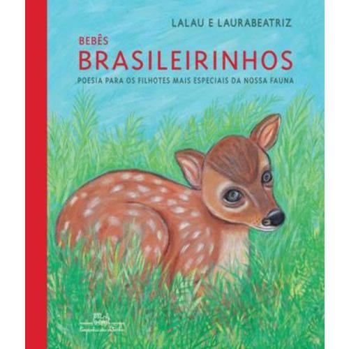 Tamanhos, Medidas e Dimensões do produto Bebes Brasileirinhos