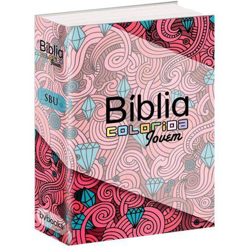 Tamanhos, Medidas e Dimensões do produto Biblia Colorida Jovem Capa Feminina - Bvbooks
