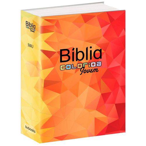 Tamanhos, Medidas e Dimensões do produto Biblia Colorida Jovem Capa Mosaico - Bvbooks