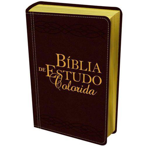 Tamanhos, Medidas e Dimensões do produto Bíblia de Estudo Colorida - Letra Grande