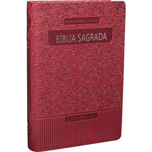 Tamanhos, Medidas e Dimensões do produto Bíblia Sagrada - Revista e Atualizada com Letra Gigante