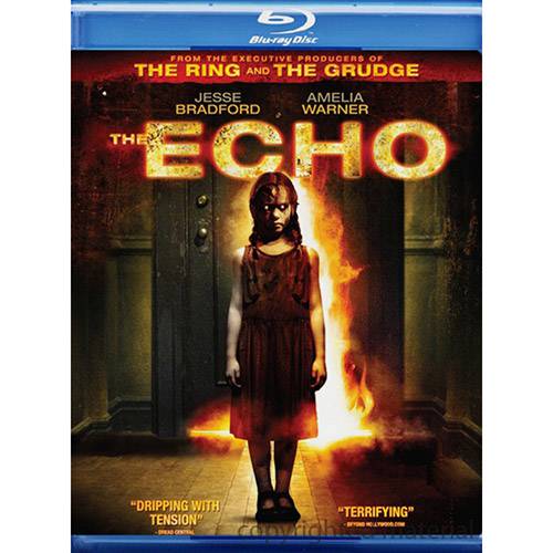 Tamanhos, Medidas e Dimensões do produto Blu-Ray The Echo