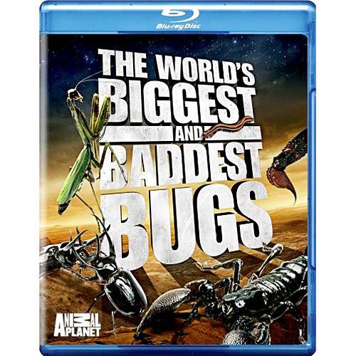 Tamanhos, Medidas e Dimensões do produto Blu-ray The World´s Biggest And Baddest Bugs - Importado