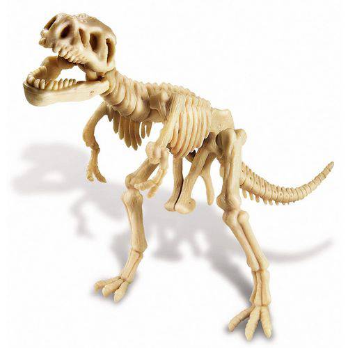 Tamanhos, Medidas e Dimensões do produto Brinquedo Escavação de Dinossauro - Tiranossauro Rex da 4m